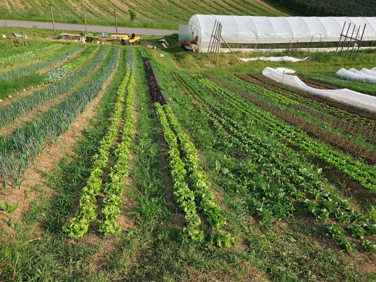 Herzhof Lampert Riegersburg Ngoại thất bức ảnh